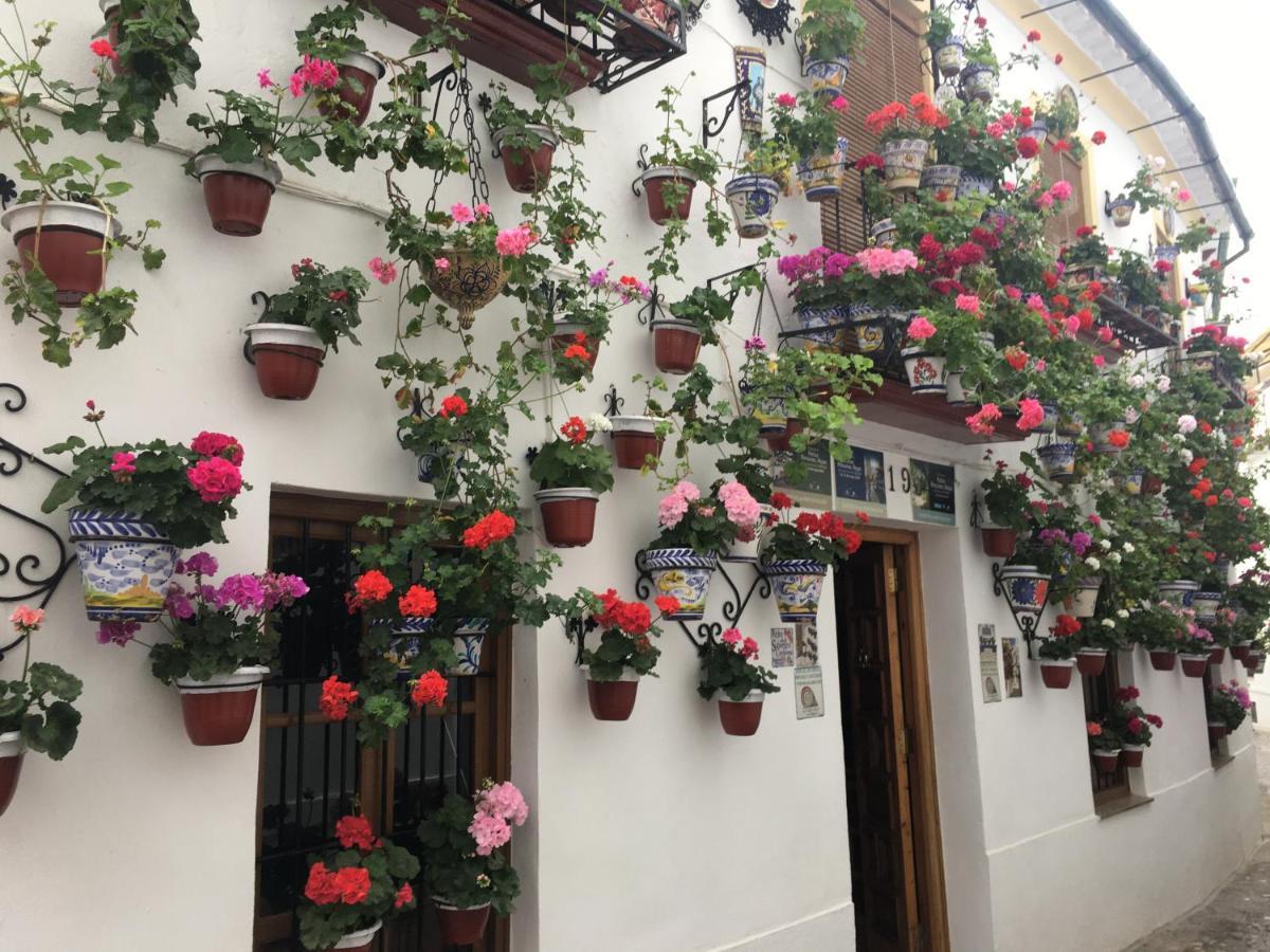 Buhardilla De Wallada 科爾多瓦 外观 照片